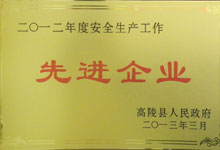 2012年度安全生產先進企業(yè)
