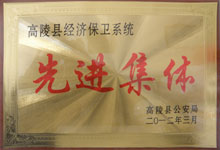 2012年經濟保衛(wèi)系統(tǒng)先進集體